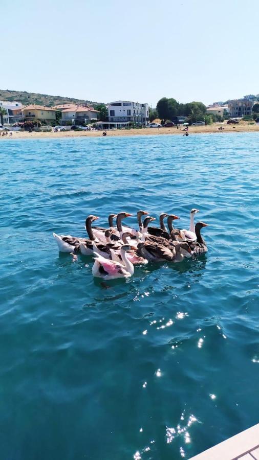 Ege Fener Otel Çeşme Dış mekan fotoğraf
